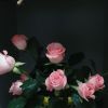 四川网友29049