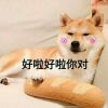 陕西网友35943