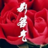 上海网友65576