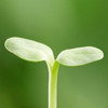 湖南网友69492
