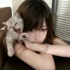 青海网友83453