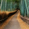 福建网友17643