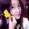 山东网友48520