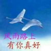上海网友94304