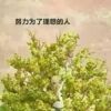 广西网友46474