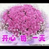 陕西网友68018