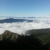 河南网友86366