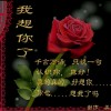 香港网友15508