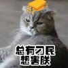 河北网友38922
