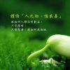 上海网友41584