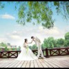 河北网友59952