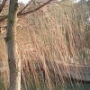 浙江网友13001