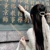 云南网友13510