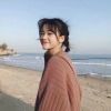 河北网友98588