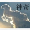 广东网友21472