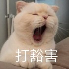 QQ头像