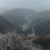 海南网友95750