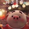 甘肃网友71099