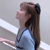 河南网友84813