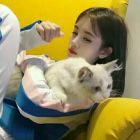 QQ头像