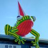青海网友75689
