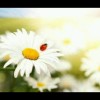 宁夏网友12897
