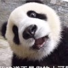 陕西网友39755
