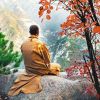 山西网友91677