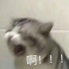 评论头像