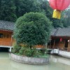 四川网友28246