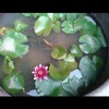 广西网友42240