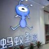 河南网友71058