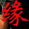 江苏网友24226