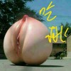 甘肃网友24116