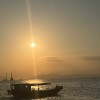 河北网友79988