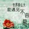 湖北网友53608