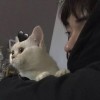 评论头像