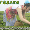 湖北网友76778