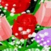 宁夏网友41326