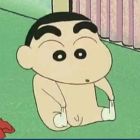 QQ头像