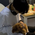 QQ头像