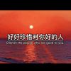 浙江网友95266