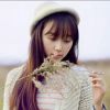 河南网友56530
