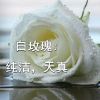 辽宁网友92286