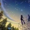 湖北网友47448