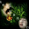 云南网友27034