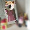 甘肃网友31738