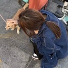 QQ头像