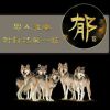 贵州网友55064
