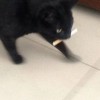 重庆网友24277